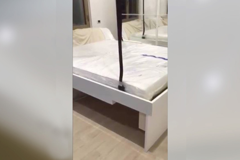 disappearing bed
